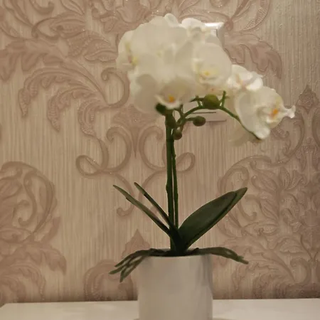 Vipstay - Stilvoll Und Geraeumige Mit Terasse Oder Balkon, Kueche, Kostenloses Parken, Wlan, Smart Tv شقة